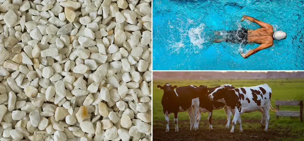 What is the zeolite and what is it used for